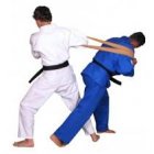 031509 - Uchikomi Tube Judo